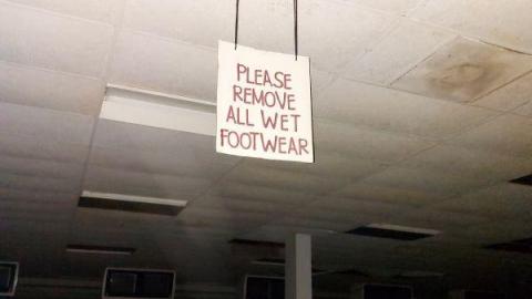 Mummified mouse - 20200827_182645Olw.jpg