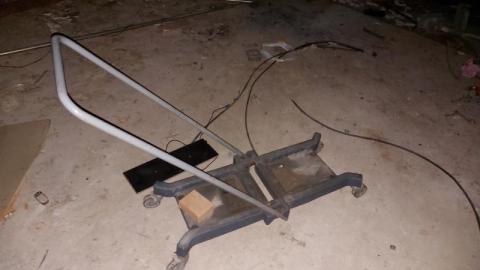 Mummified mouse - 20200827_183215InJ.jpg