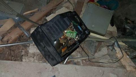 Mummified mouse - 20200827_183242UlS.jpg