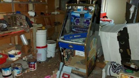 Mummified mouse - 20200827_183335X4G.jpg