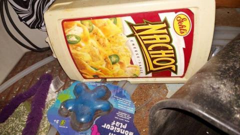 Mummified mouse - 20200827_183416Ugs.jpg