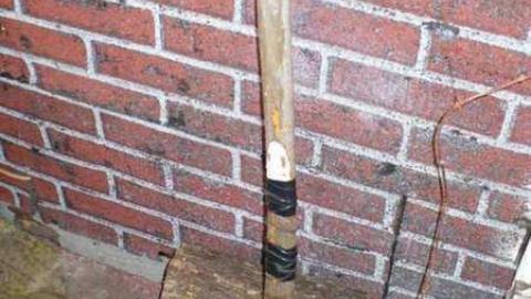 Clarks - Clark-Farm5.jpg