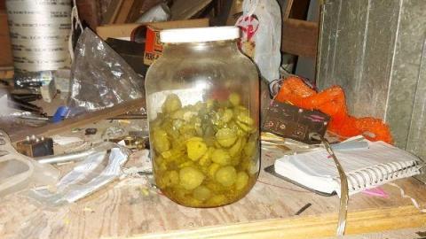 Mummified mouse - 20200827_183659omZ.jpg