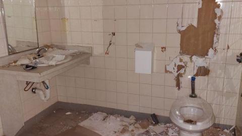 Mummified mouse - 20200827_184328keU.jpg