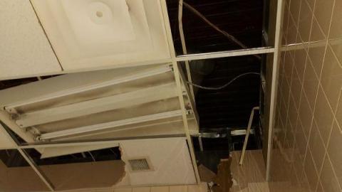 Mummified mouse - 20200827_184342nxn.jpg