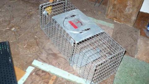 Clarks - Clark-Farm7.jpg