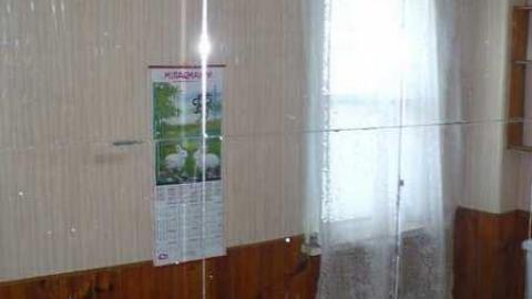 Clarks - Clark-Farm11.jpg