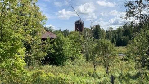 The Mill - IMG_0277QCZ.jpg