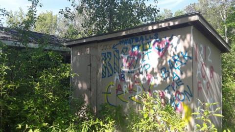 Summer Visit - 20200609_1643222HV.jpg