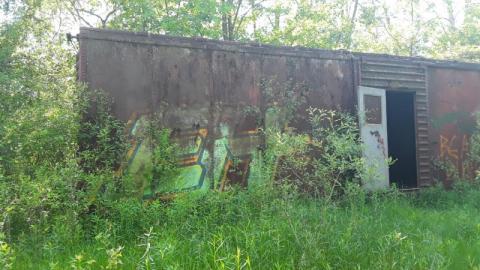 Summer Visit - 20200609_164629WSU.jpg