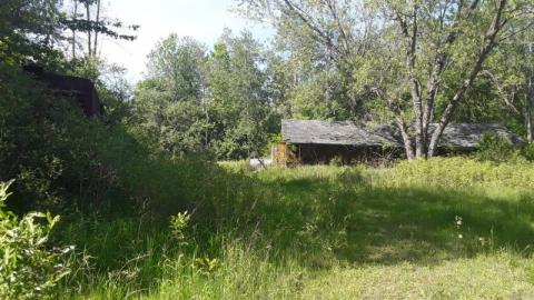 Photo from Summer Visit