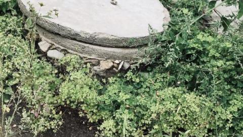 Not much left now.. - DD2BEE07-91D6-4BED-8A92-2953722B8523MV4.jpg