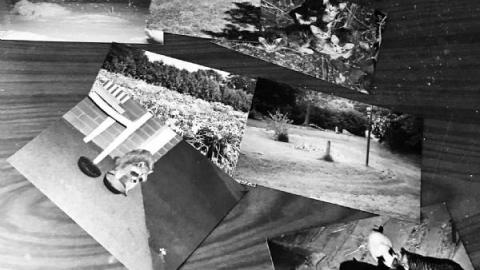 Not much left now.. - 5B2B6592-52F9-4E2C-94B5-34C57F974B3B9cF.jpg