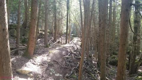 Photo from Beautiful Trail 