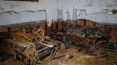 Nov '19 - DSC02161EWn.jpg