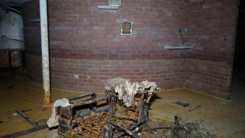 Nov '19 - DSC02167QLA.jpg