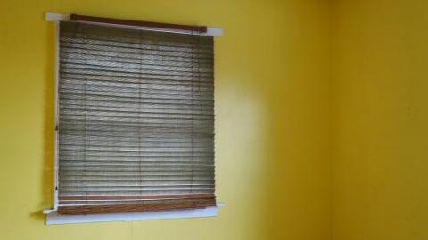 Both Sides Dec '19 - DSC03085N5Q.jpg