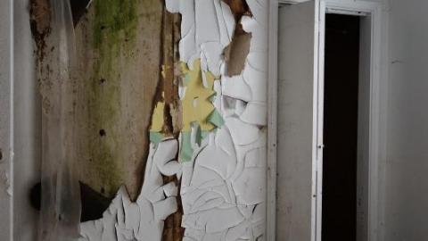 Both Sides Dec '19 - DSC03113Cfz.jpg