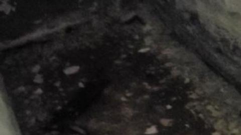 Century manor - Screenshot_20200907-181209_Video PlayerWOa.jpg