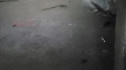 Century manor - Screenshot_20200907-174912_Video PlayerwXE.jpg