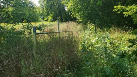 First Visit - 20200906_131818daV.jpg