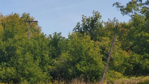 Lonely The Hut photo 3