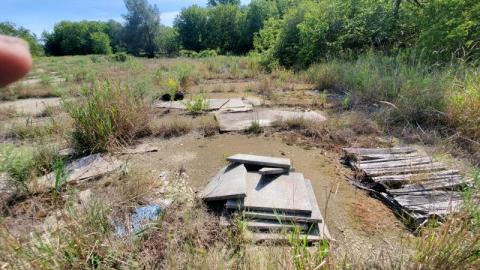 First Visit - 20200906_133557oDL.jpg