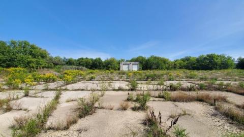 Lonely The Hut photo 5