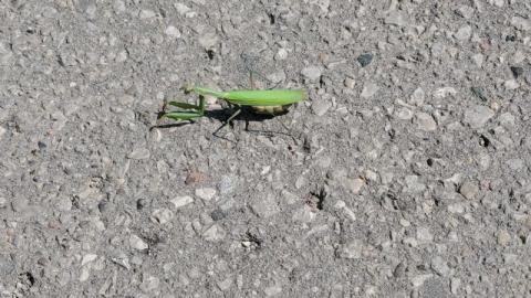 First Visit - 20200906_135117u2Z.jpg