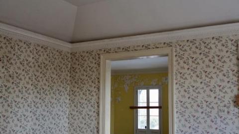 Dec 2019 - DSC00008aAm.jpg