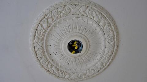 Dec 2019 - DSC00009FaI.jpg