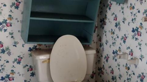 Dec 2019 - DSC00025fa7.jpg