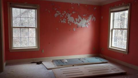 Dec 2019 - DSC00028BZF.jpg