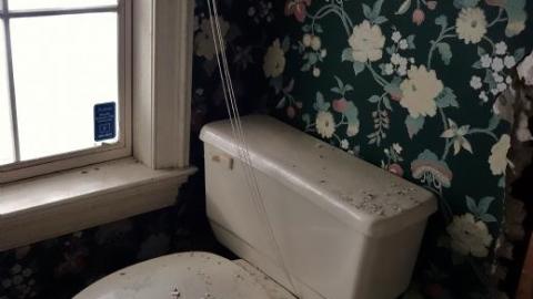 Dec 2019 - DSC00032zM2.jpg