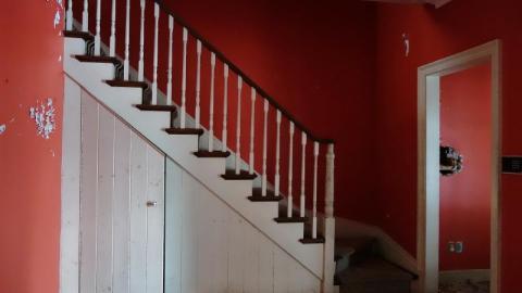 Dec 2019 - DSC000355b8.jpg