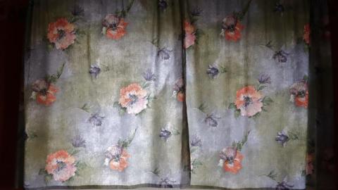 Dec 2019 - DSC00049ImQ.jpg