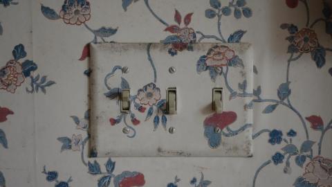 Dec 2019 - DSC00071WF3.jpg