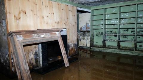 Dec 2019 - DSC00079CzI.jpg