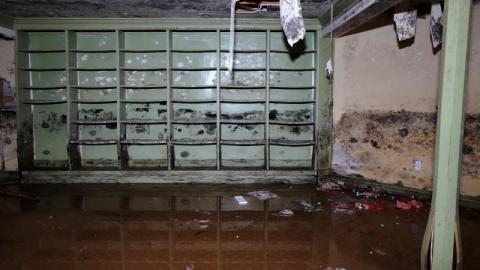 Dec 2019 - DSC00081fGy.jpg