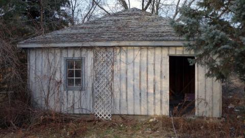 Dec 2019 - DSC00088w03.jpg