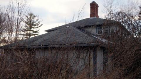 Dec 2019 - DSC00128Pr9.jpg