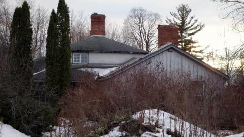 Dec 2019 - DSC00138bSN.jpg