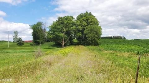 first trip - 20200714_121529DTp.jpg