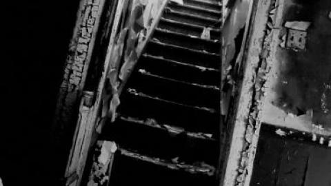 first trip - 20200814_0136034es.jpg