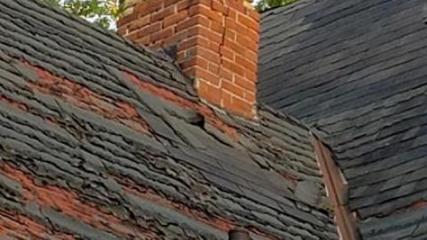 Steinhoff House - 20200911_191129fMJ.jpg