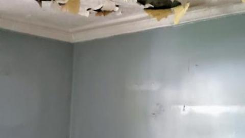 Steinhoff House - Chatham-Kent, Ontario