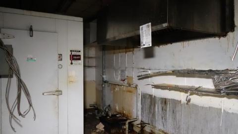 3 Visits Dec '19 - DSC02917ZTY.jpg