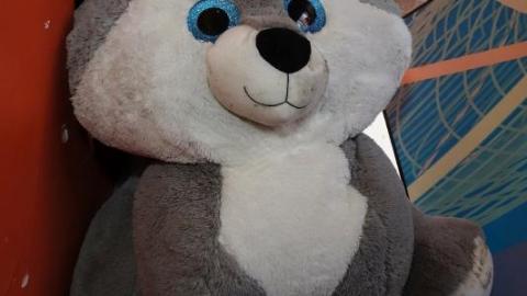 3 Visits Dec '19 - DSC02948BPy.jpg