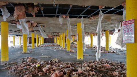 3 Visits Dec '19 - DSC035913ON.jpg