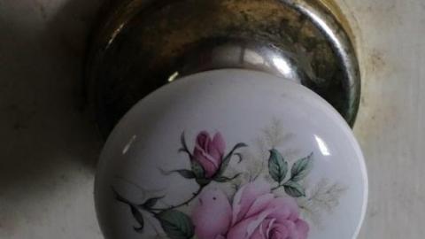 Jan 2020 - DSC01028YBT.jpg